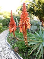 Quinta da Samoqueirinha