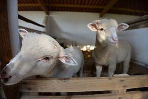 Quinta da Samoqueirinha