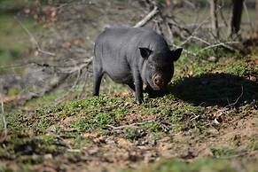 Quinta da Samoqueirinha