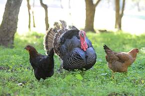 Quinta da Samoqueirinha