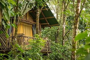 La Tigra Rainforest Lodge
