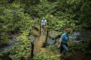La Tigra Rainforest Lodge