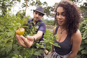 La Tigra Rainforest Lodge