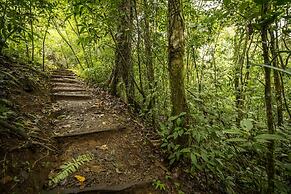 La Tigra Rainforest Lodge