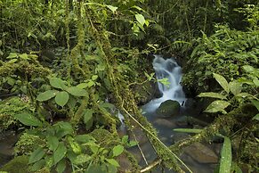La Tigra Rainforest Lodge