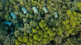 La Tigra Rainforest Lodge