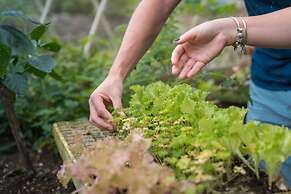 La Tigra Rainforest Lodge