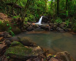 La Tigra Rainforest Lodge
