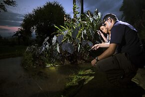 La Tigra Rainforest Lodge