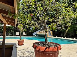 Caribbean Shores Bed & Breakfast