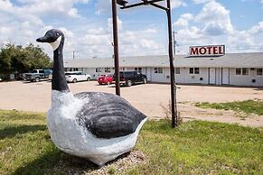 Wild Goose Motel and Campground