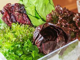 Hotel Karuizawa Elegance