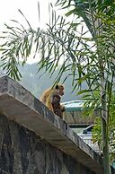 Hotel Travellers Nest