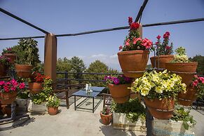 Langtang View Nagarkot Bed & Breakfast