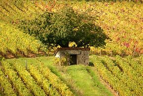 Domaine Joseph LAFARGE Wine Resort Oeno-tonneaux expérience