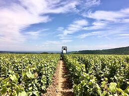Domaine Joseph LAFARGE Wine Resort Oeno-tonneaux expérience