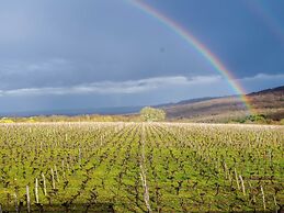 Domaine Joseph LAFARGE Wine Resort Oeno-tonneaux expérience