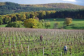 Domaine Joseph LAFARGE Wine Resort Oeno-tonneaux expérience