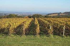 Domaine Joseph Lafarge