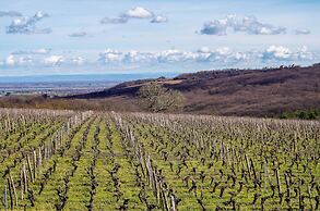 Domaine Joseph Lafarge
