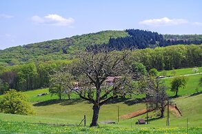 Domaine Joseph Lafarge
