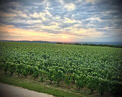 Domaine Joseph Lafarge