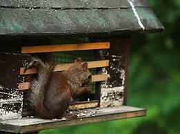 Mori no Spa Resort Hokkaido Hotel