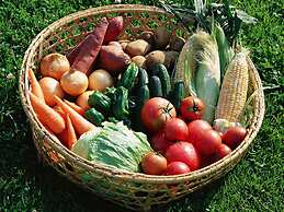 Mori no Spa Resort Hokkaido Hotel