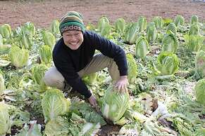 Ryokan Kato - Yoshino