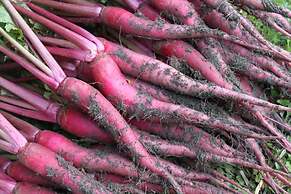 Ryokan Kato - Yoshino