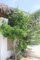 An Bang Vera Homestay