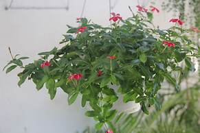 An Bang Vera Homestay