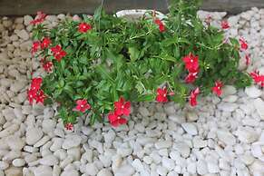 An Bang Vera Homestay