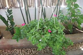 An Bang Vera Homestay