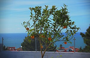 Residencia Praia Norte - AL