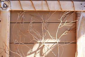 MORF - soulful suites