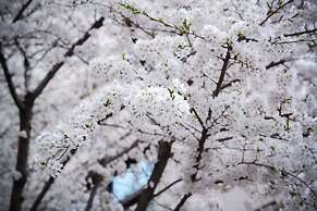 Midtown Shangri-La, Hangzhou