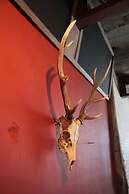 KAMP Houkan-cho Backpacker's Inn & Lounge - Hostel