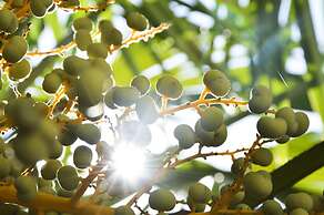 Hotel Villa Freiheim