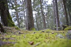 Hotel Villa Freiheim