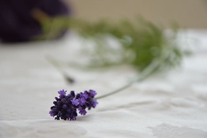 Hotel Villa Freiheim