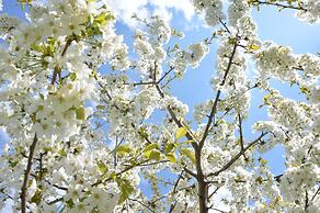 Hotel Villa Freiheim