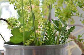 Hotel Villa Freiheim