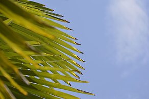 Hotel Villa Freiheim