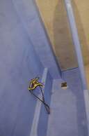 Elafusa Luxury Apartment