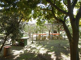 Azienda Agrituristica Le Betulle