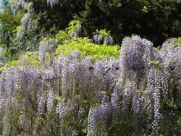 Azienda Agrituristica Le Betulle