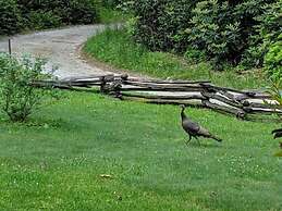 Buffalo Creek Bed & Breakfast