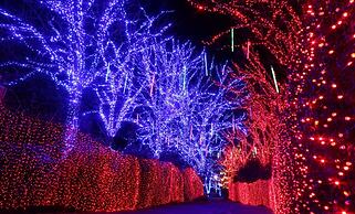 Holiday Inn Portland West - Hillsboro by IHG