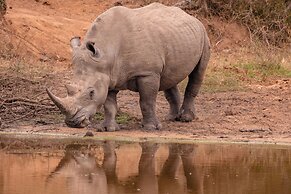 Kapama Southern Camp